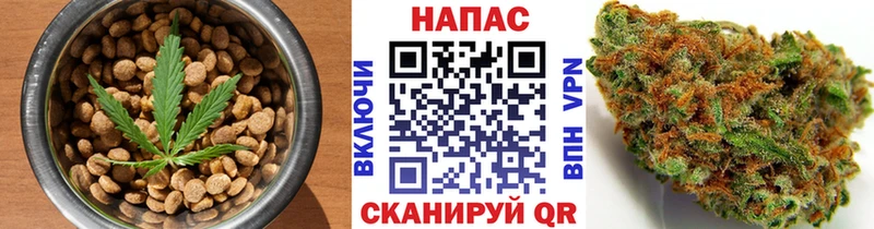 цена наркотик  OMG ССЫЛКА  Печенье с ТГК конопля  Судогда 