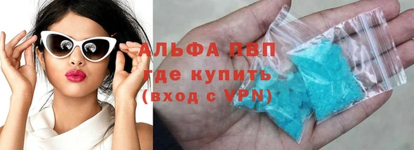 прущие грибы Елизово