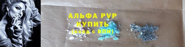 прущие грибы Елизово