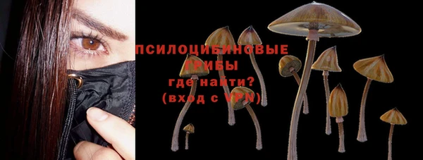 прущая мука Заводоуковск
