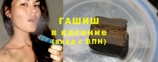 прущие грибы Елизово