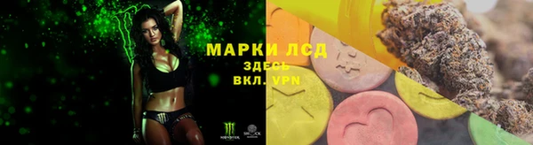 прущие грибы Елизово