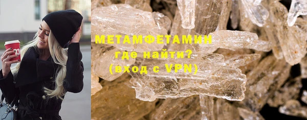 прущие грибы Елизово