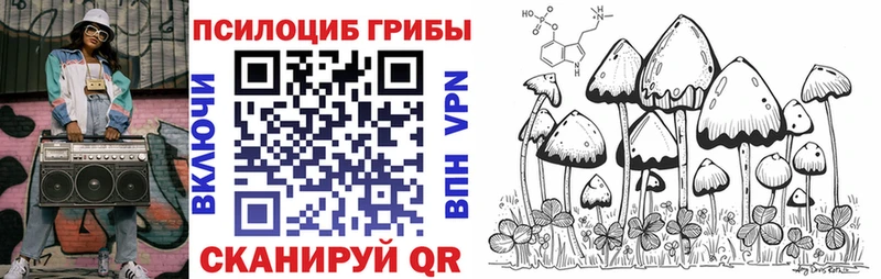 Псилоцибиновые грибы Psilocybine cubensis  Судогда 